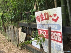 半熟卵にならないように