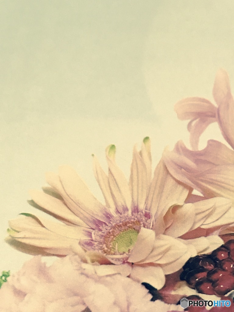 モノ撮り   其の弐