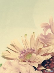 モノ撮り   其の弐