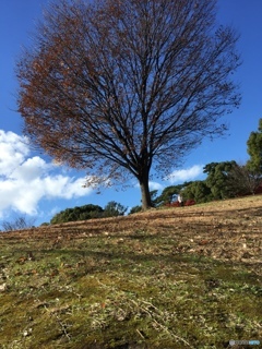 しあわせ村の丘