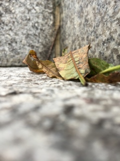 片隅で寄り添って