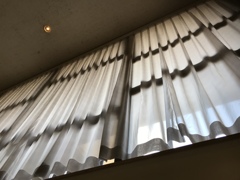 揺れるシルエット