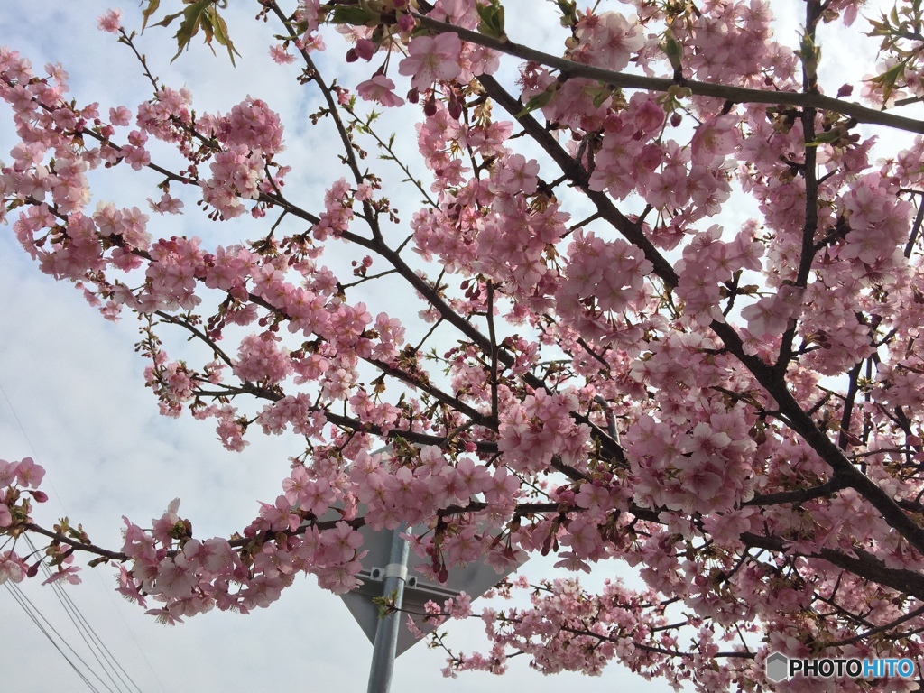 思い出した様にして