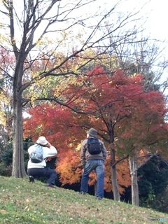 おじさんたちの撮影会