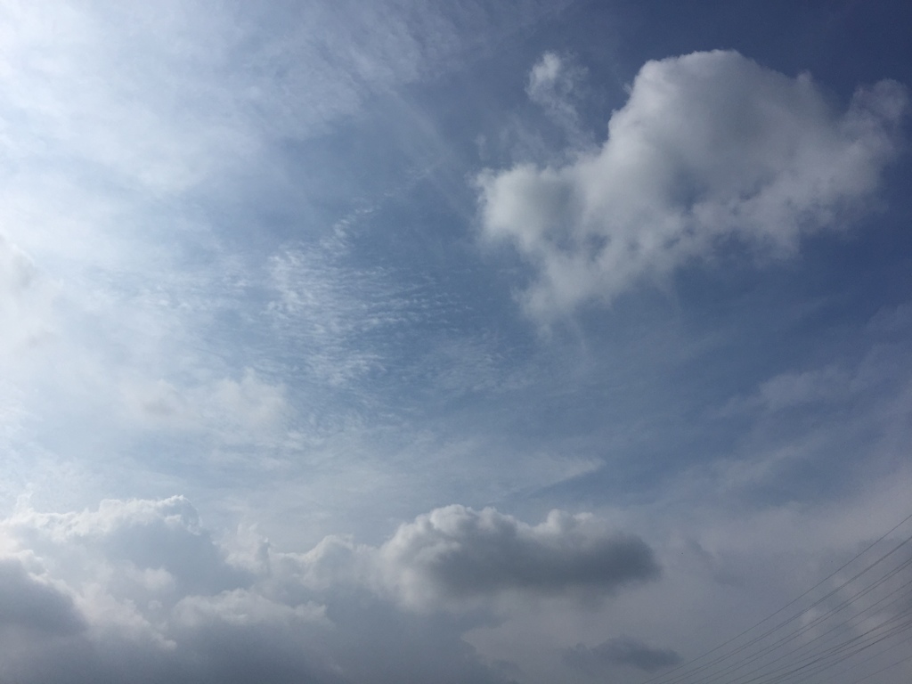 爽やかな風とともに