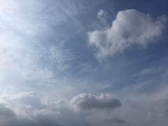 爽やかな風とともに