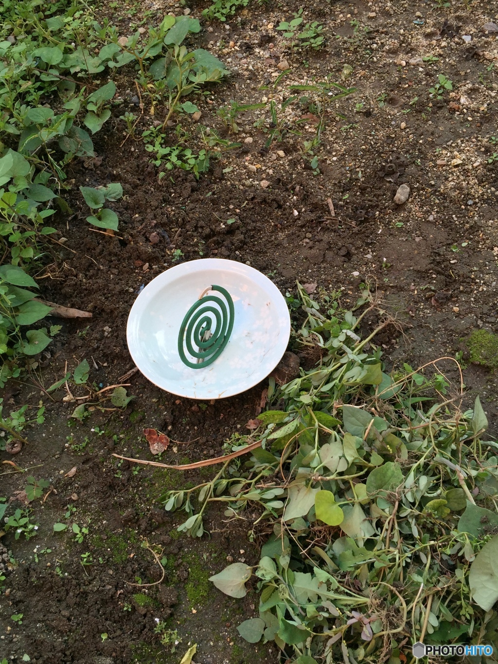 草取りには蚊取線香