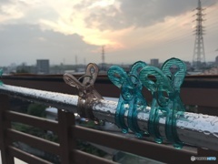 いつもの場所で仲良し