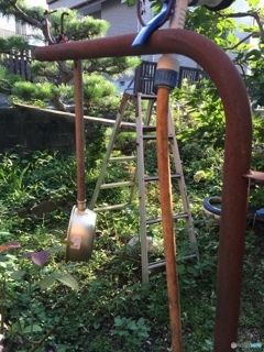 雑草に囲まれて