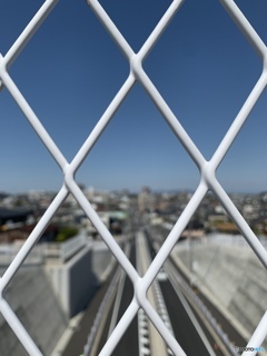 写欲を求めて
