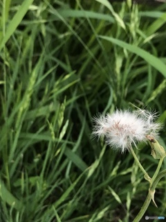 モノ撮り  其の伍