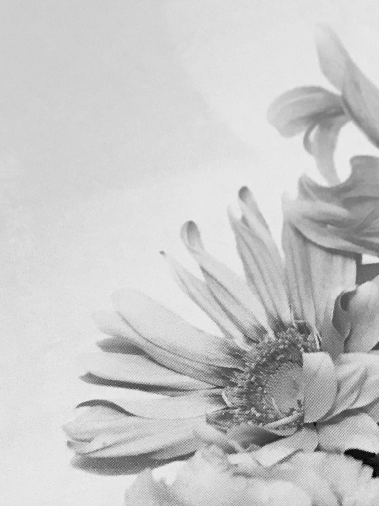 モノ撮り   其の壱