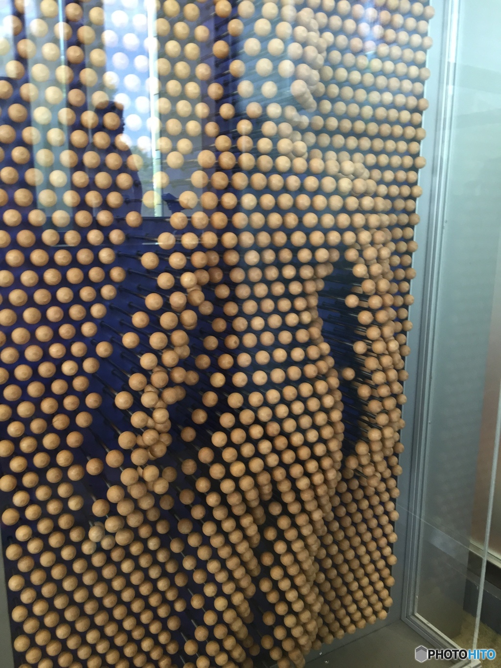 ありのままの姿