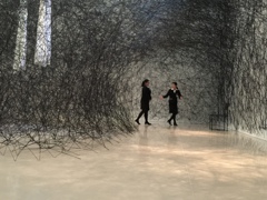 蜘蛛の糸の中で