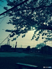 また明日ね、、