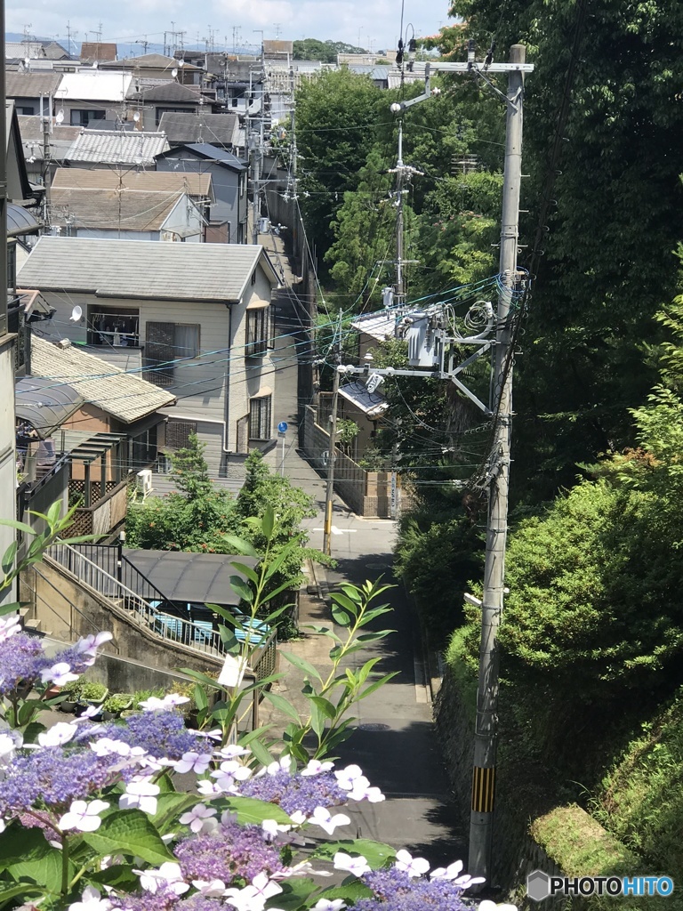 普通の京都