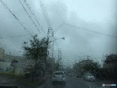 梅雨だから雨ふり