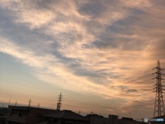 いつもの場所から