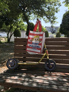 キックボードもベンチ入り