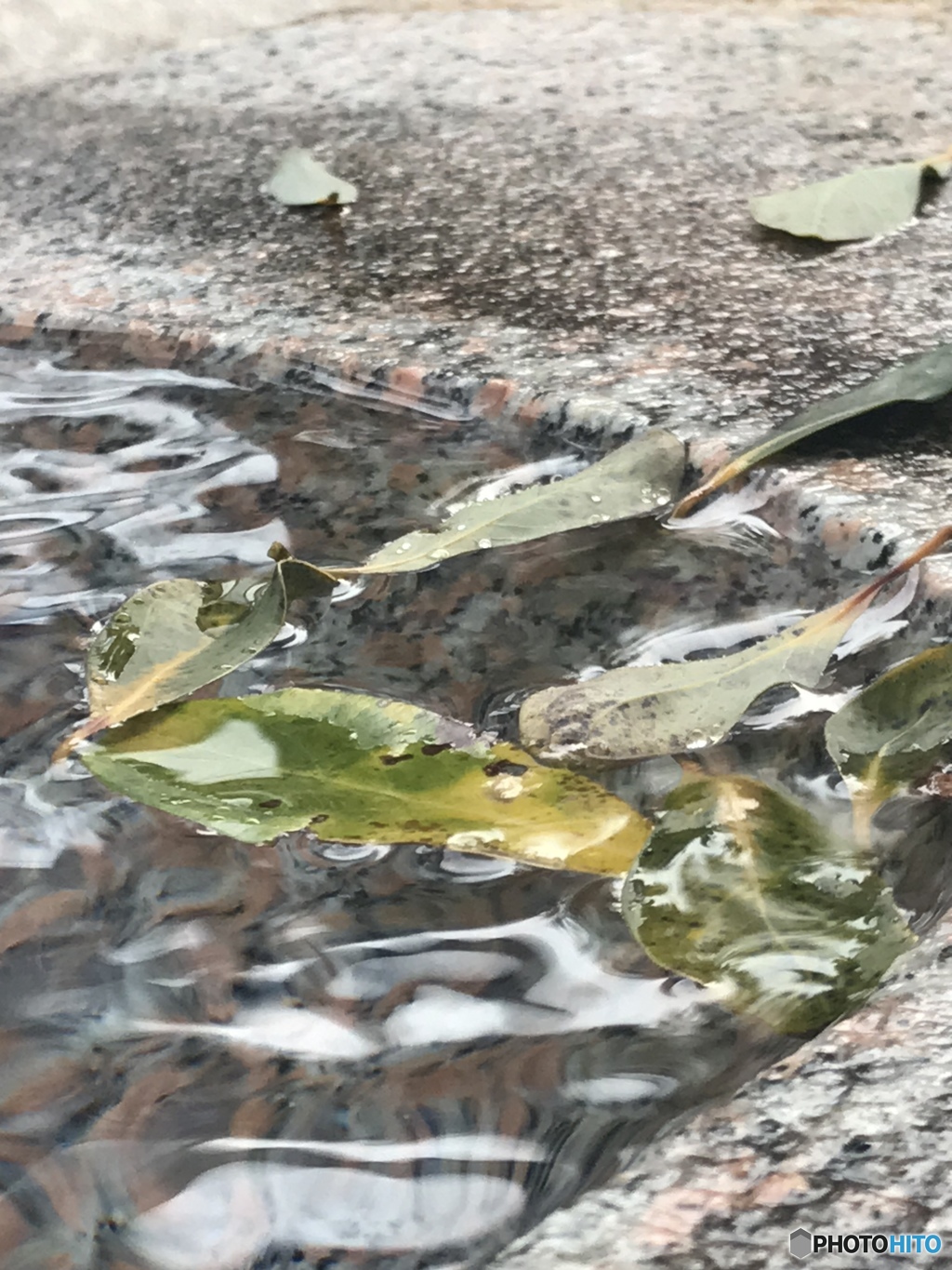 水面で遊ぶ
