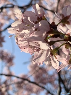 眩しいくらい