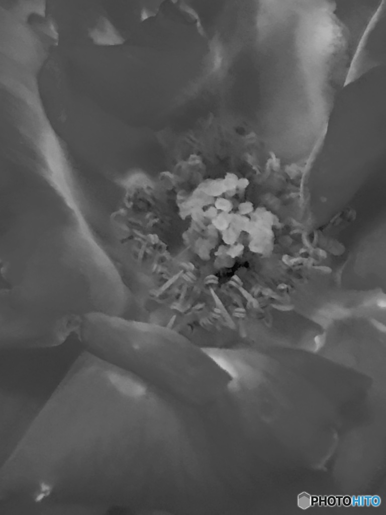 言葉が無くても