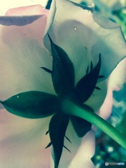 後ろから攻めて