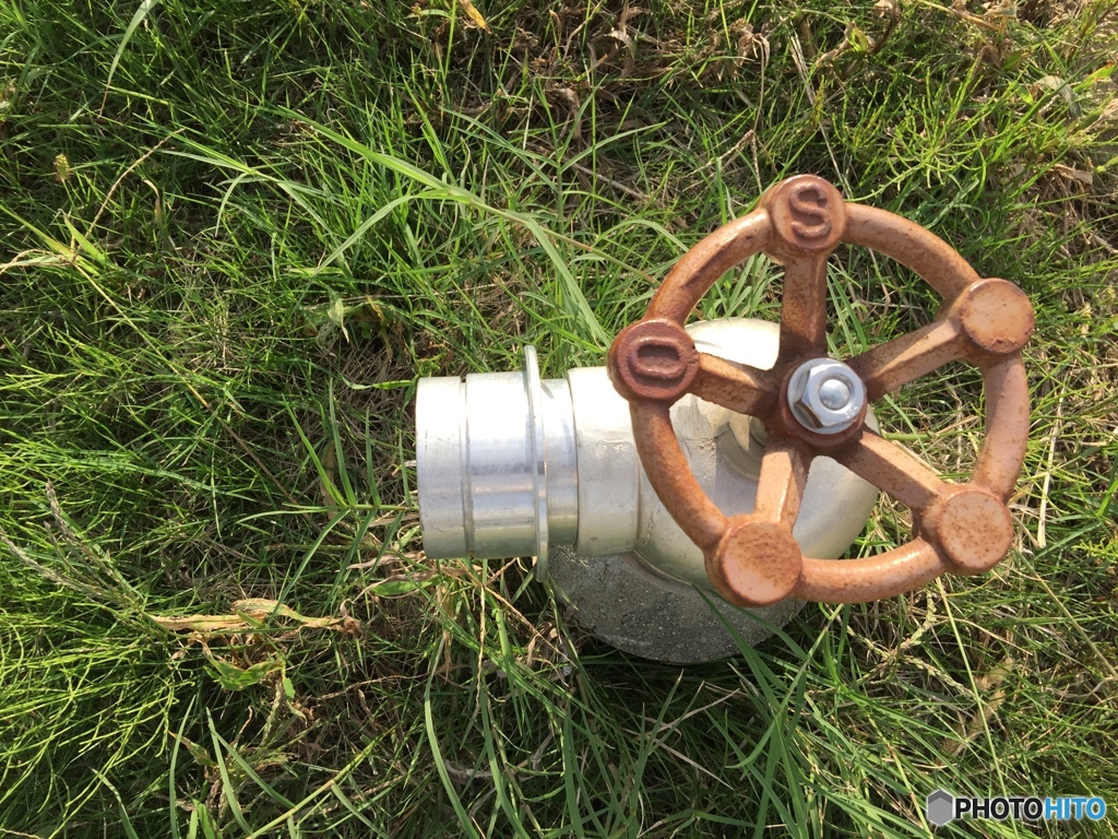 思いを吐き出す