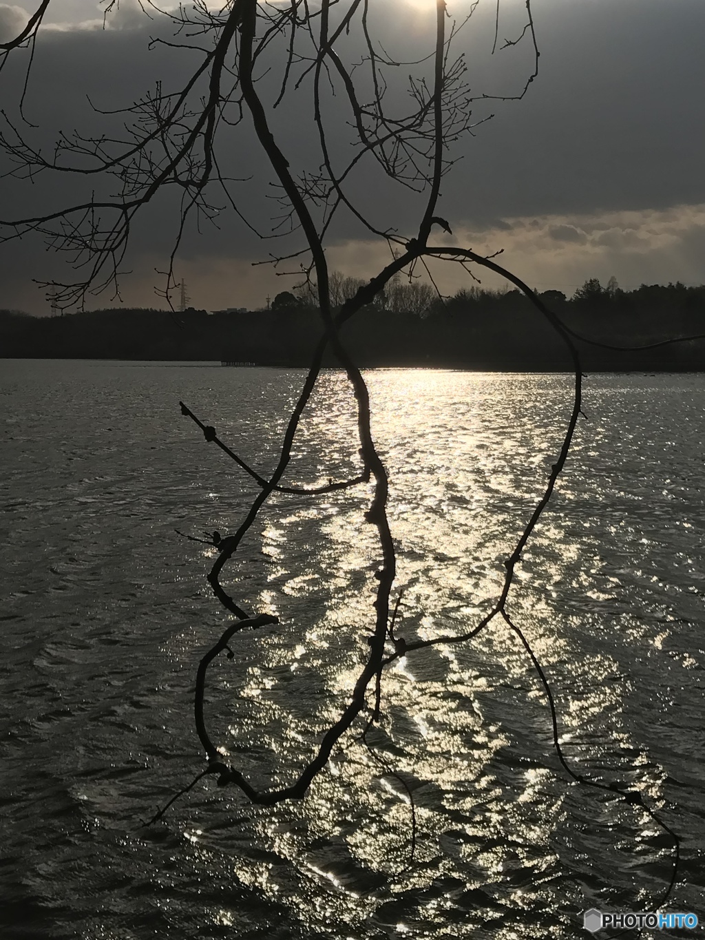 久しぶりの撮影