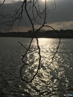 久しぶりの撮影