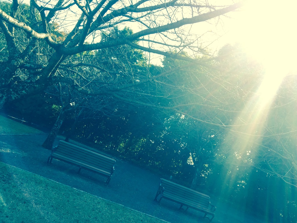 豊田市美術館