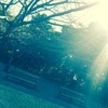 豊田市美術館