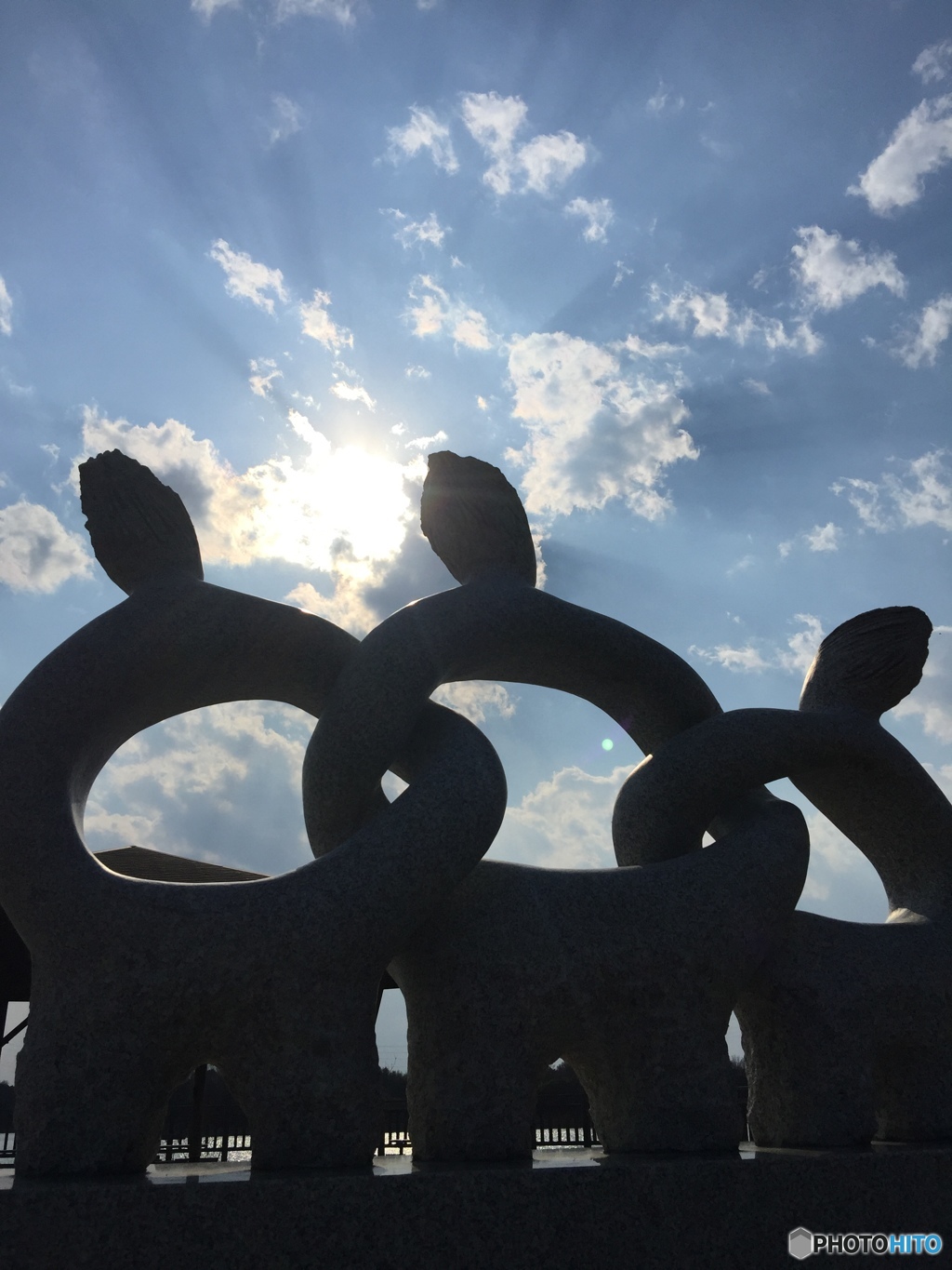 仲間