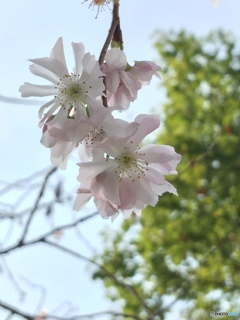 晩秋のなかの優しさ