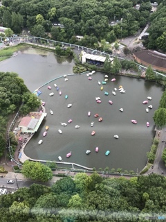 東山タワーより