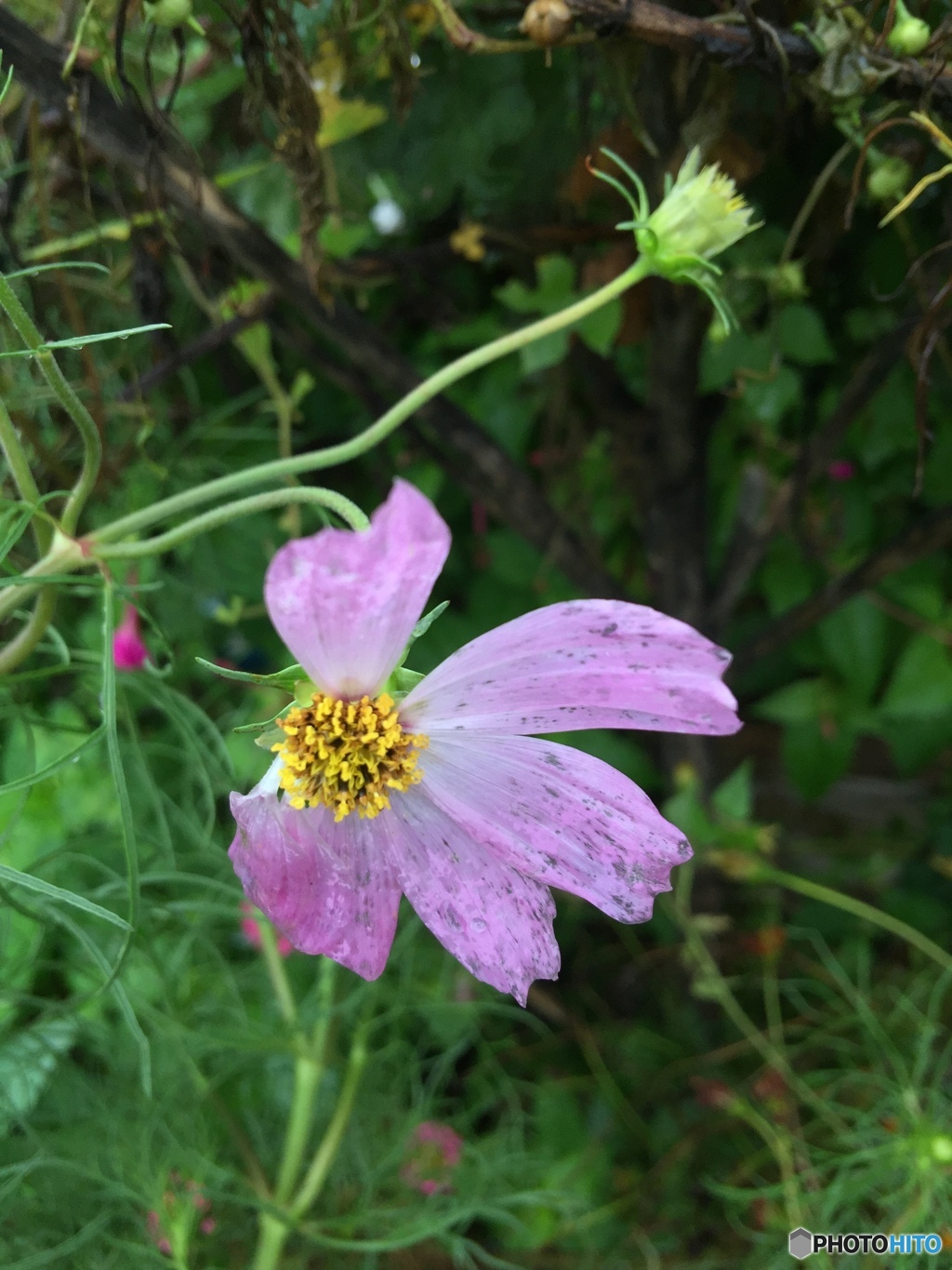 傷ついても、、