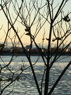 思い出を閉じ込めて