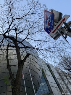 久しぶり