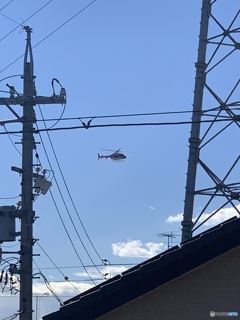 低空飛行