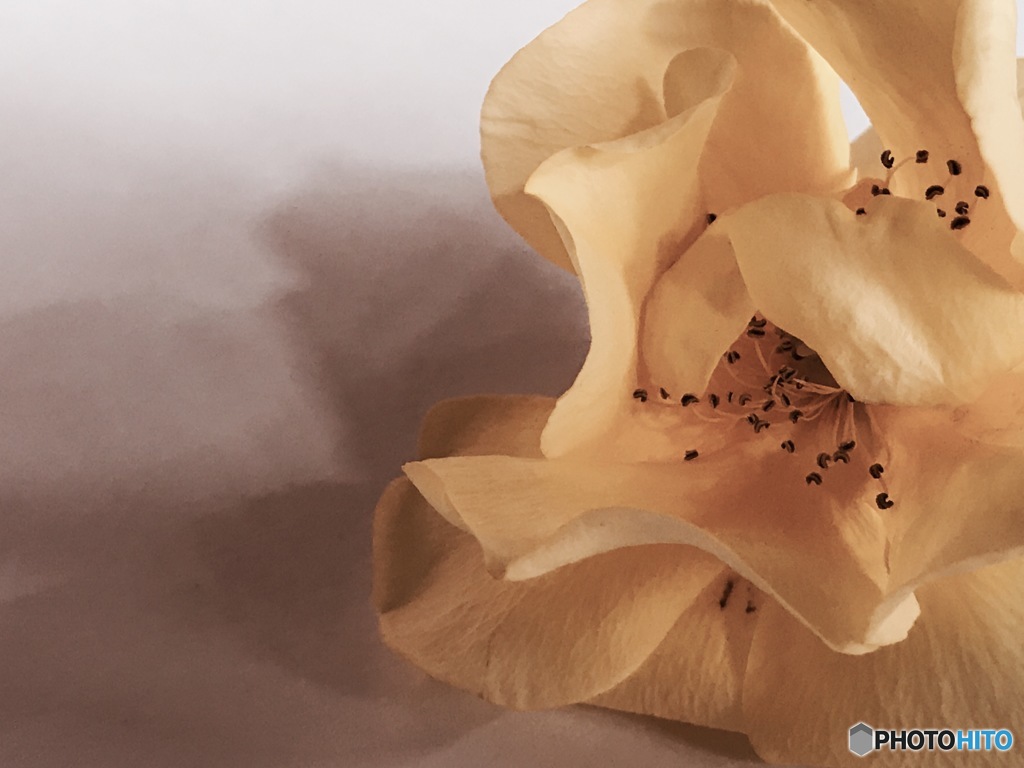 雨の日のお遊び