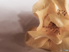 雨の日のお遊び