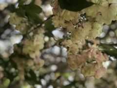 ピントは何処に