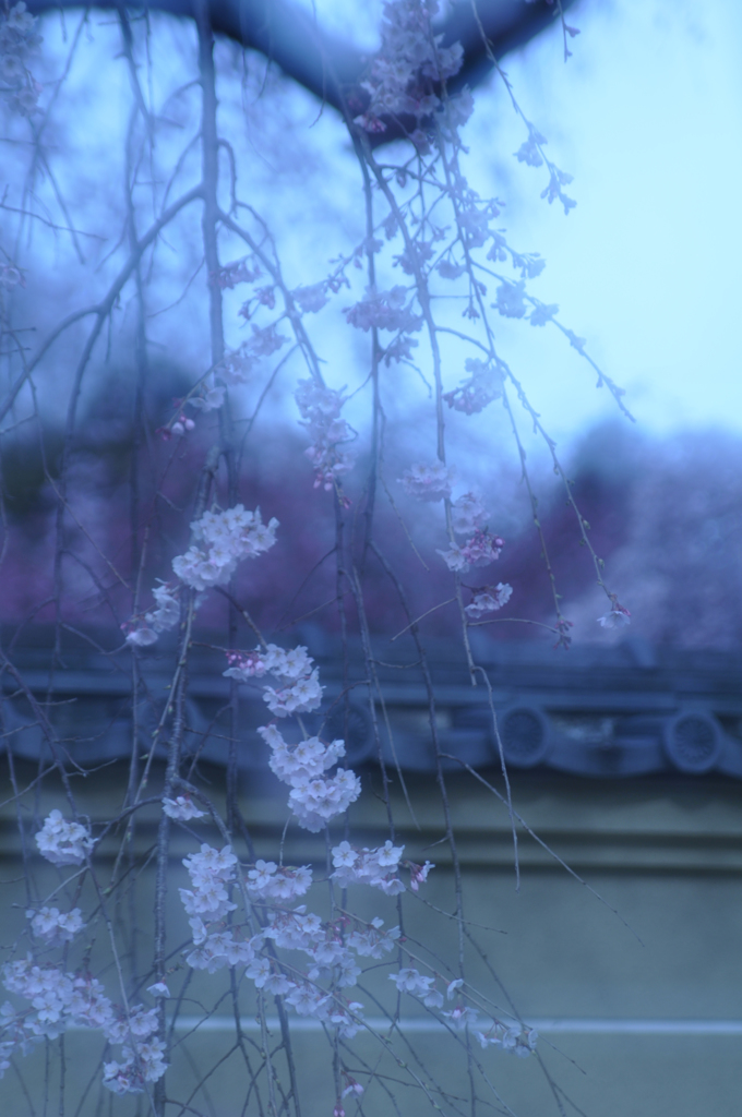 幽玄