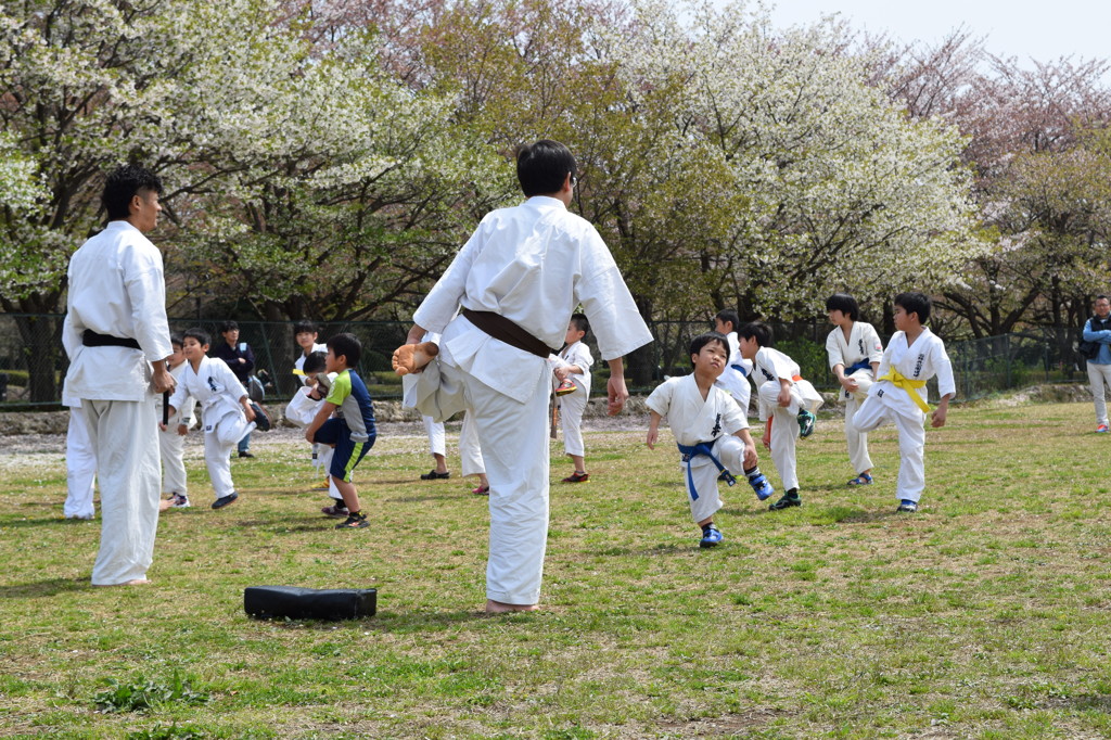 僕、家庭に憧れる。