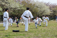 僕、家庭に憧れる。