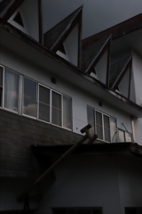 漂う　その162