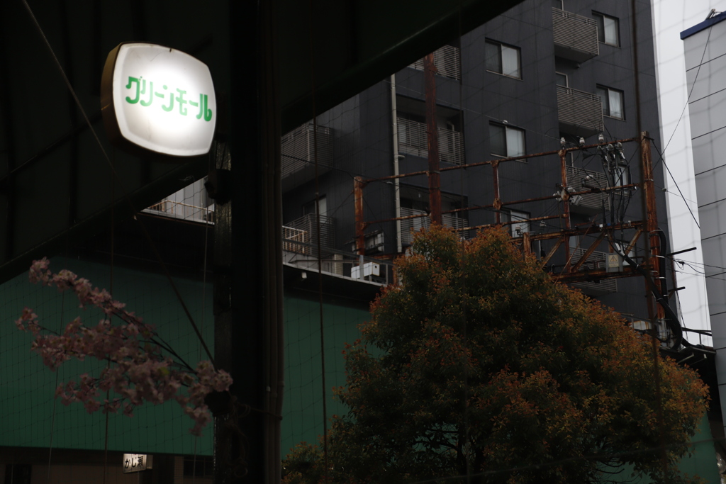 さびる　その70