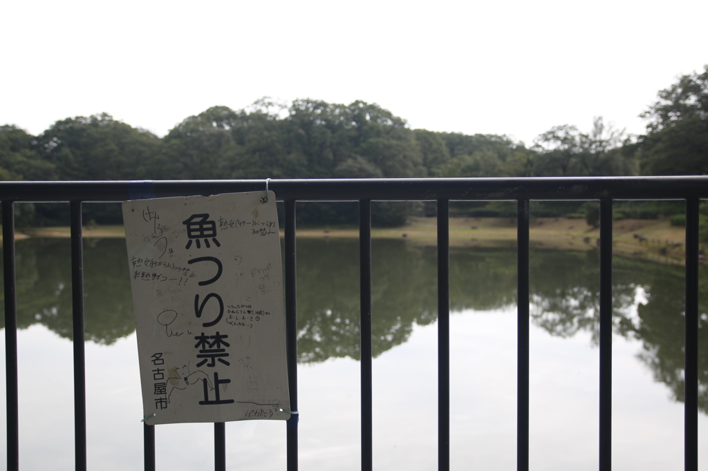 荒れる　その5