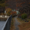 渡る　その150