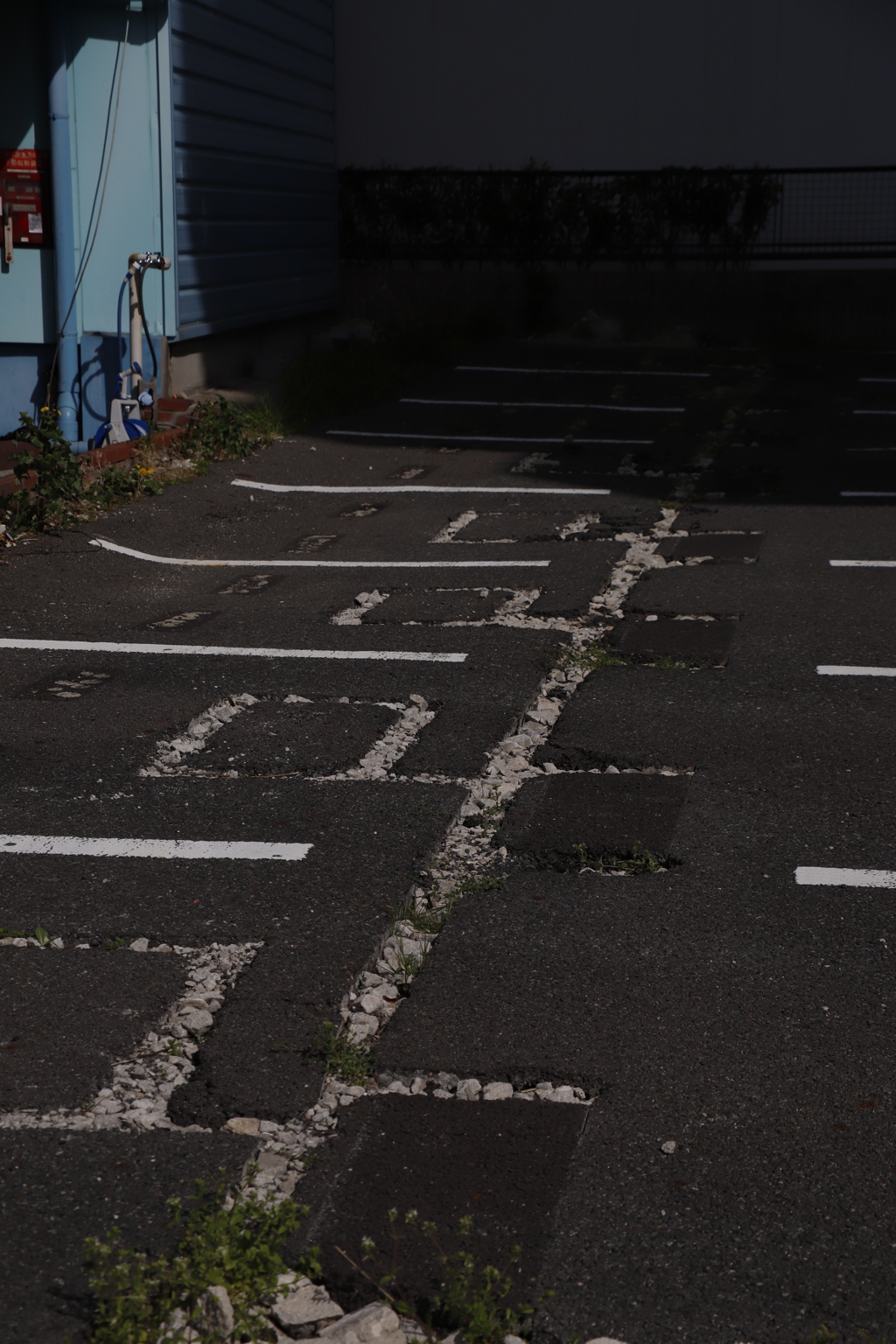 すたれる　その69